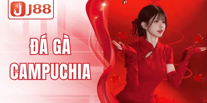 Đá Gà Campuchia J88 – Trận Kịch Đấu Tính, May Mắn Bùng Nổ 1 Đá Gà Campuchia J88 – Trận Kịch Đấu Tính, May Mắn Bùng Nổ