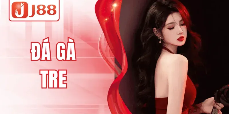 Tham Gia Đá Gà Tre, Trải Nghiệm Hấp Dẫn Mỗi Ván Tại J88 1 Tham Gia Đá Gà Tre, Trải Nghiệm Hấp Dẫn Mỗi Ván Tại J88